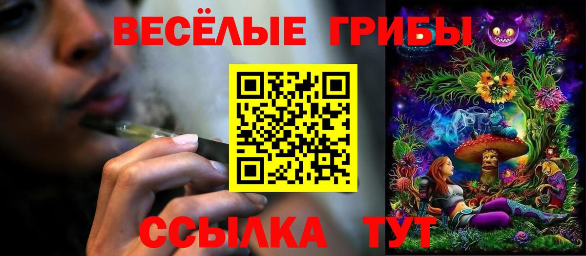 Псилоцибиновые грибы мицелий Королёв